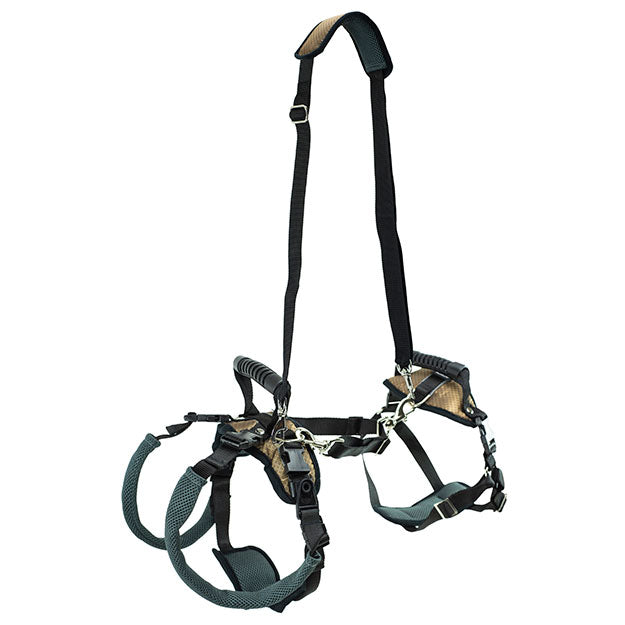 Full body harness with black, tan, and teal color way.