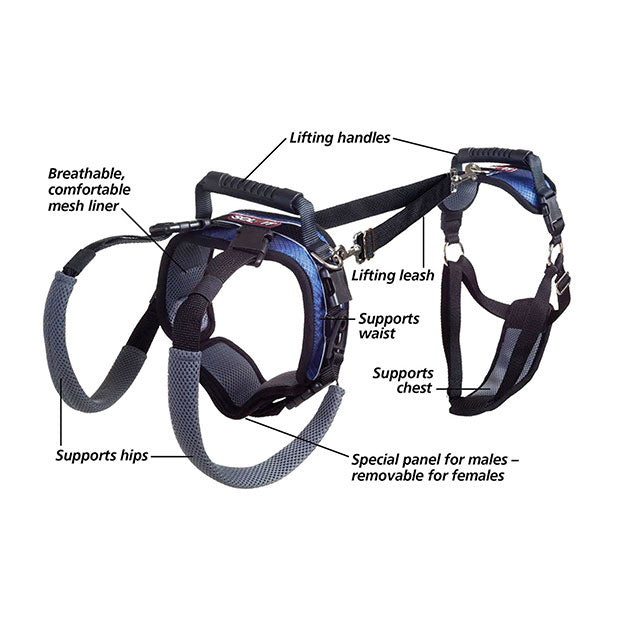 Full body harness with features including breathable and comfortable mesh liner, lifting handles, lifting leash and special panel for males - removable for females that helps support waist, chest and hips.