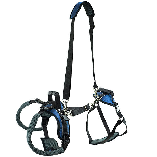 Full body harness with black, blue and teal color way.