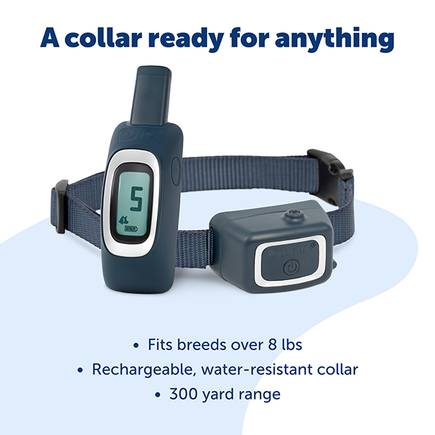 A collar for anything. Fits breeds over 8 pounds, rechargeable, water-resistant collar, 300 yard range
