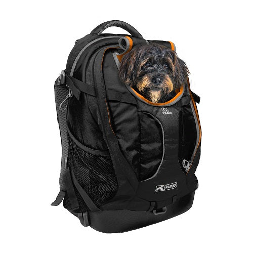 Dog relaxing in K9 backpack