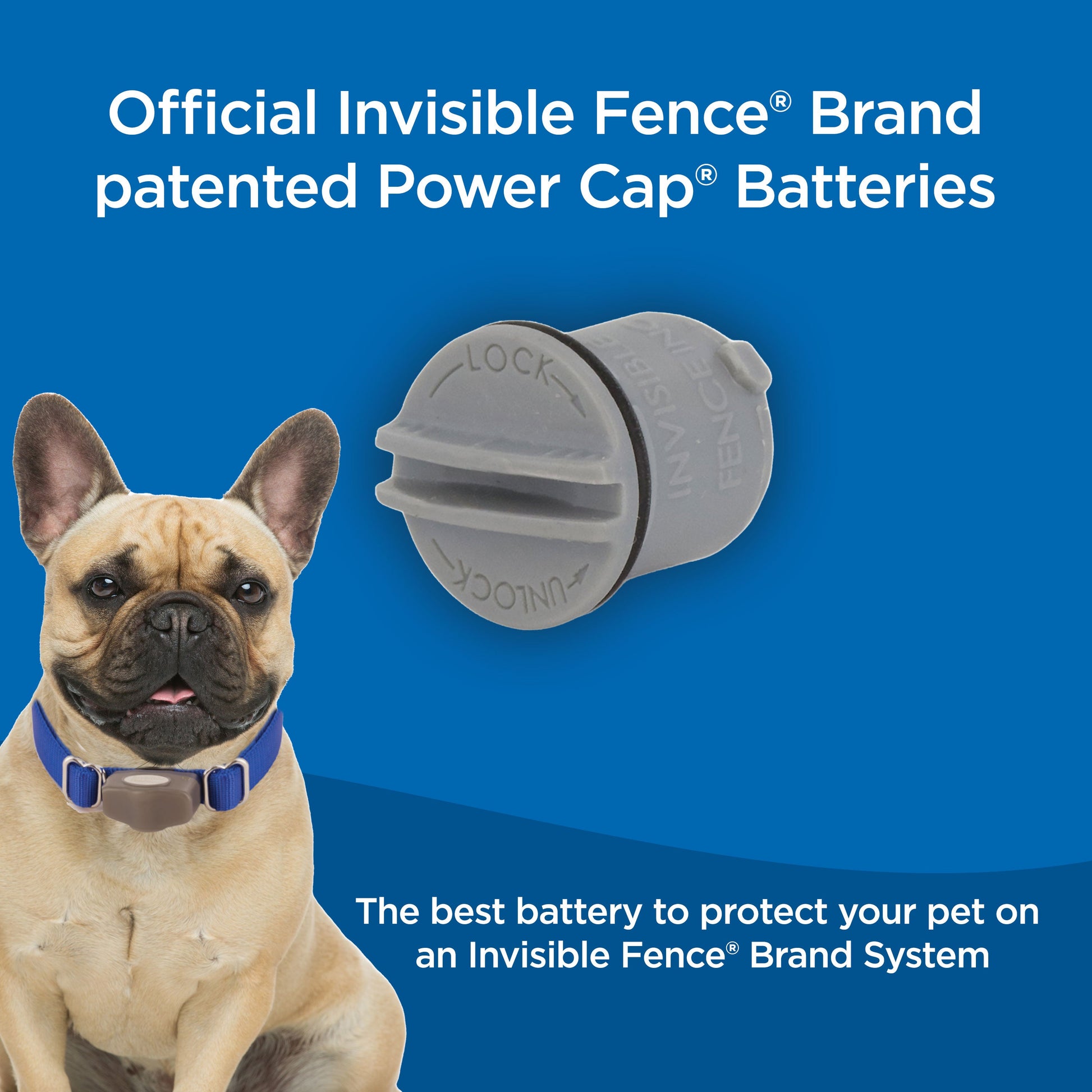 Single invisible fence battery with text on imag: official invisible fence brand patented power cap batteries. The best battery to protect your pet on an invisible fence brand system.