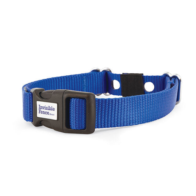 Blue nylon replacement collar for invisible fence