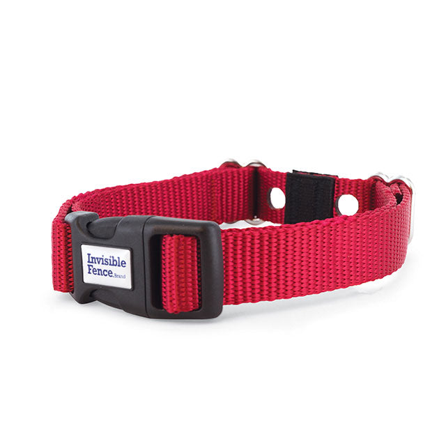 Red nylon replacement collar for invisible fence