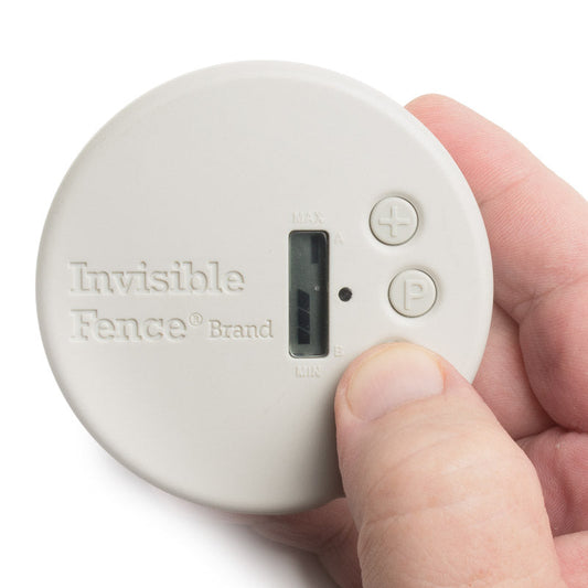 Small round Invisible Fence Brand avoidance shield 